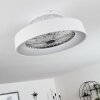 Ventilateur de plafond Moli LED Blanc, 1 lumière, Télécommandes