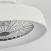 Ventilateur de plafond Moli LED Blanc, 1 lumière, Télécommandes