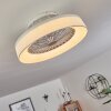 Ventilateur de plafond Moli LED Blanc, 1 lumière, Télécommandes