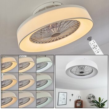 Ventilateur de plafond Moli LED Blanc, 1 lumière, Télécommandes