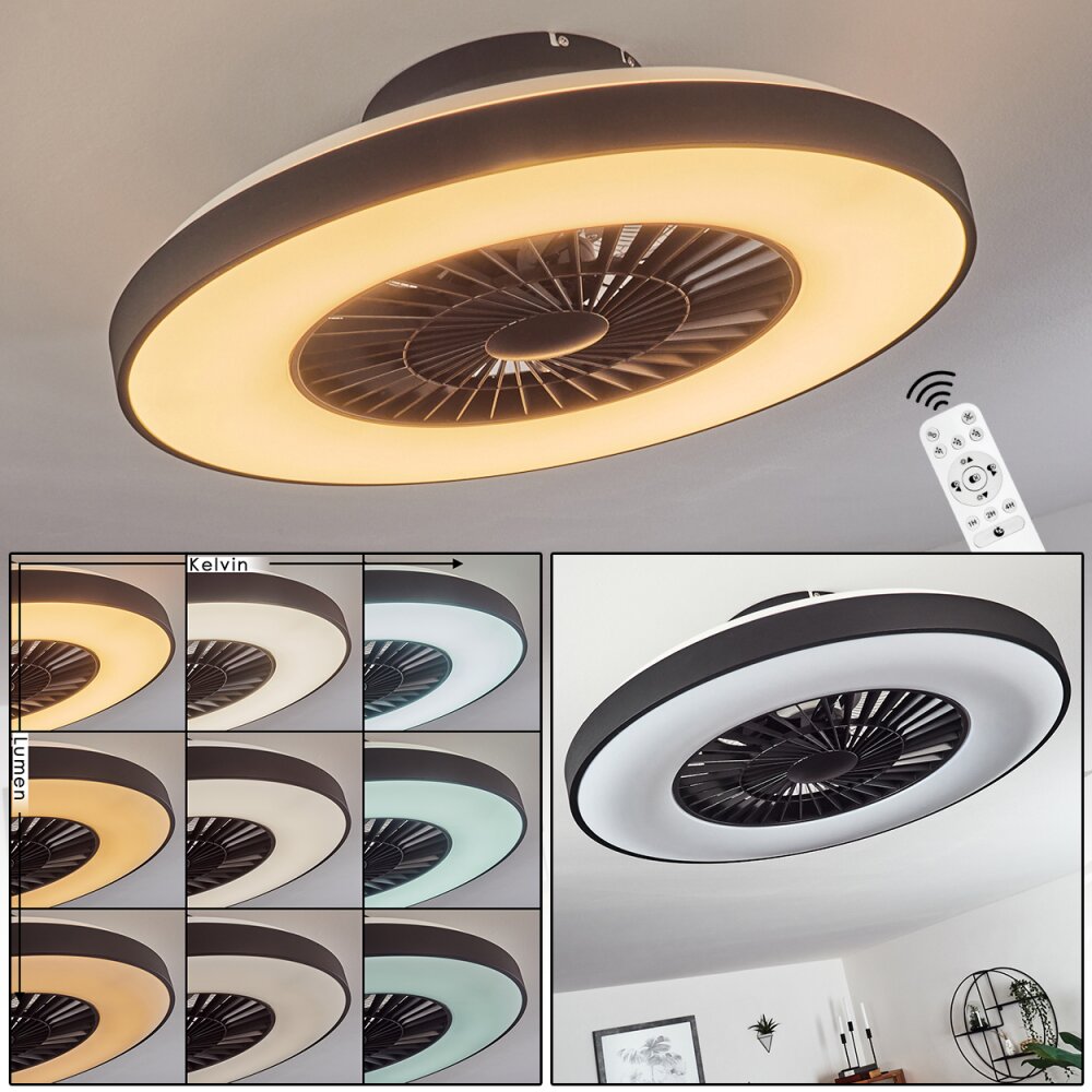 Ventilateur de plafond Qualiano LED Noir, Blanc, 1 lumière, Télécommandes main product photo