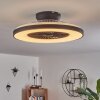 Ventilateur de plafond Qualiano LED Noir, Blanc, 1 lumière, Télécommandes