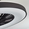 Ventilateur de plafond Qualiano LED Noir, Blanc, 1 lumière, Télécommandes