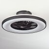 Ventilateur de plafond Qualiano LED Noir, Blanc, 1 lumière, Télécommandes