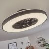 Ventilateur de plafond Qualiano LED Noir, Blanc, 1 lumière, Télécommandes