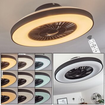 Ventilateur de plafond Qualiano LED Noir, Blanc, 1 lumière, Télécommandes