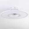 Ventilateur de plafond Marmorta LED Blanc, 1 lumière, Télécommandes