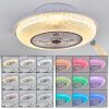 Ventilateur de plafond Riccione LED Blanc, 1 lumière, Télécommandes, Changeur de couleurs