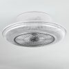 Ventilateur de plafond Riccione LED Blanc, 1 lumière, Télécommandes, Changeur de couleurs