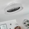 Ventilateur de plafond Moli LED Gris, Blanc, 1 lumière, Télécommandes