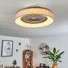 Ventilateur de plafond Moli LED Gris, Blanc, 1 lumière, Télécommandes