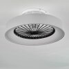 Ventilateur de plafond Moli LED Gris, Blanc, 1 lumière, Télécommandes