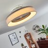 Ventilateur de plafond Moli LED Gris, Blanc, 1 lumière, Télécommandes