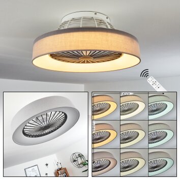 Ventilateur de plafond Moli LED Gris, Blanc, 1 lumière, Télécommandes