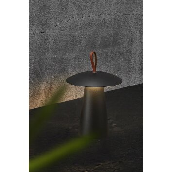 Lampe à poser Nordlux ARA LED Brun, Noir, 1 lumière