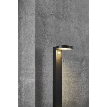 Lampe solaires Nordlux RICA LED Noir, 1 lumière