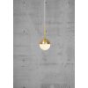 Suspension Nordlux CONTINA Laiton, 1 lumière