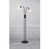 Lampadaire Nordlux MOLLI Noir, 2 lumières