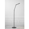 Lampadaire Nordlux BEND LED Noir, 1 lumière