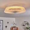 Ventilateur de plafond Rivarotta LED Blanc, 1 lumière, Télécommandes
