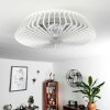 Ventilateur de plafond Rivarotta LED Blanc, 1 lumière, Télécommandes