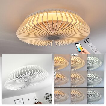 Ventilateur de plafond Rivarotta LED Blanc, 1 lumière, Télécommandes