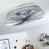 Ventilateur de plafond Rivarotta LED Blanc, 1 lumière, Télécommandes