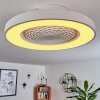 Ventilateur de plafond Penon LED Blanc, 1 lumière, Télécommandes