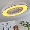 Ventilateur de plafond Penon LED Blanc, 1 lumière, Télécommandes