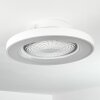 Ventilateur de plafond Penon LED Blanc, 1 lumière, Télécommandes