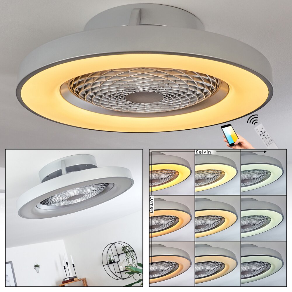 Ventilateur de plafond Penon LED Argenté, 1 lumière, Télécommandes main product photo