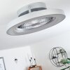 Ventilateur de plafond Penon LED Argenté, 1 lumière, Télécommandes