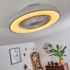 Ventilateur de plafond Penon LED Argenté, 1 lumière, Télécommandes