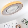 Ventilateur de plafond Penon LED Blanc, 1 lumière, Télécommandes