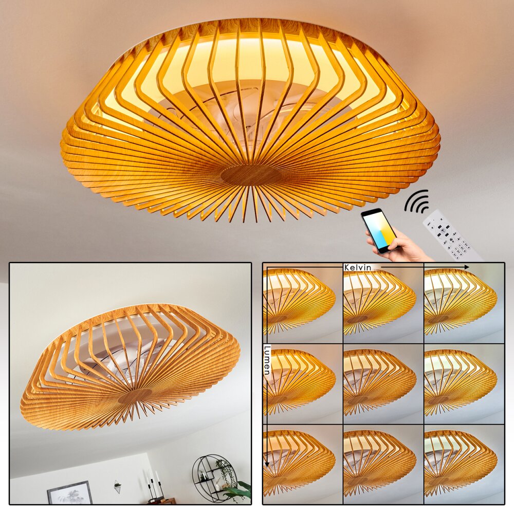 Ventilateur de plafond Rivarotta LED Blanc, 1 lumière, Télécommandes main product photo