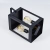 lampe solaire Sciolze Noir, Transparent, 2 lumières