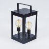 lampe solaire Sciolze Noir, Transparent, 2 lumières