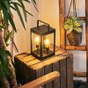 lampe solaire Sciolze Noir, Transparent, 2 lumières