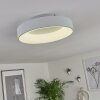 Plafonnier Pine LED Blanc, 1 lumière