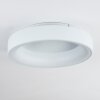 Plafonnier Pine LED Blanc, 1 lumière