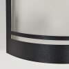 Applique murale d'extérieur Visnum Noir, Blanc, 1 lumière