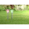 Lot de 2 lampes solaires Globo MIYUGO LED Acier inoxydable, 1 lumière, Changeur de couleurs