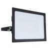 Applique murale d'extérieur Globo HELGA LED Clair, 1 lumière