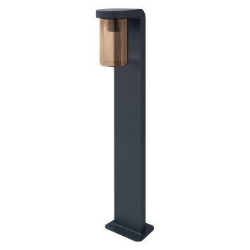 Borne lumineuse LEDVANCE ENDURA Anthracite, 1 lumière