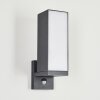 Applique murale d'extérieur Swanek LED Anthracite, 1 lumière, Détecteur de mouvement