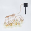 guirlande lumineuse solaire Trygsland LED Brun, 10 lumières
