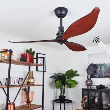 Ventilateur de plafond Torgnes Brun, Couleur bois, Noir, Télécommandes