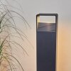 Borne lumineuse Dubona LED Anthracite, 1 lumière