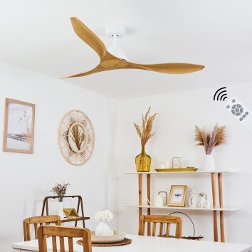 Ventilateur de plafond Follseland Brun clair, Couleur bois, Blanc, Télécommandes
