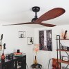 Ventilateur de plafond Follseland Brun, Couleur bois, Noir, Télécommandes